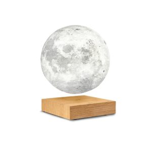 Gingko Smart Moon Light Frêne